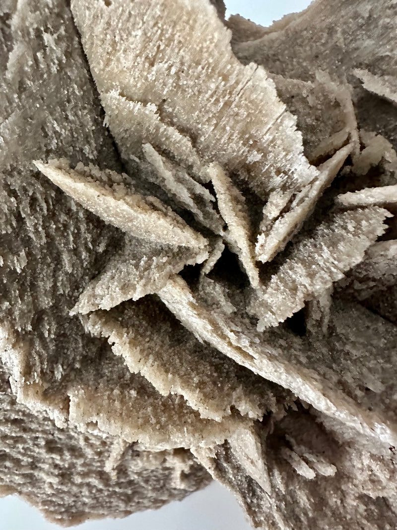 Monumental Desert Rose crystal, 3.25kg natural sand gypsum specimen with layered petal formations, ideal for home decor or crystal collectors